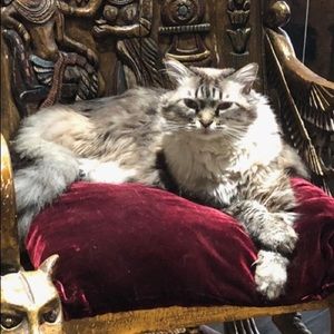 Meet your Posher, Lydia